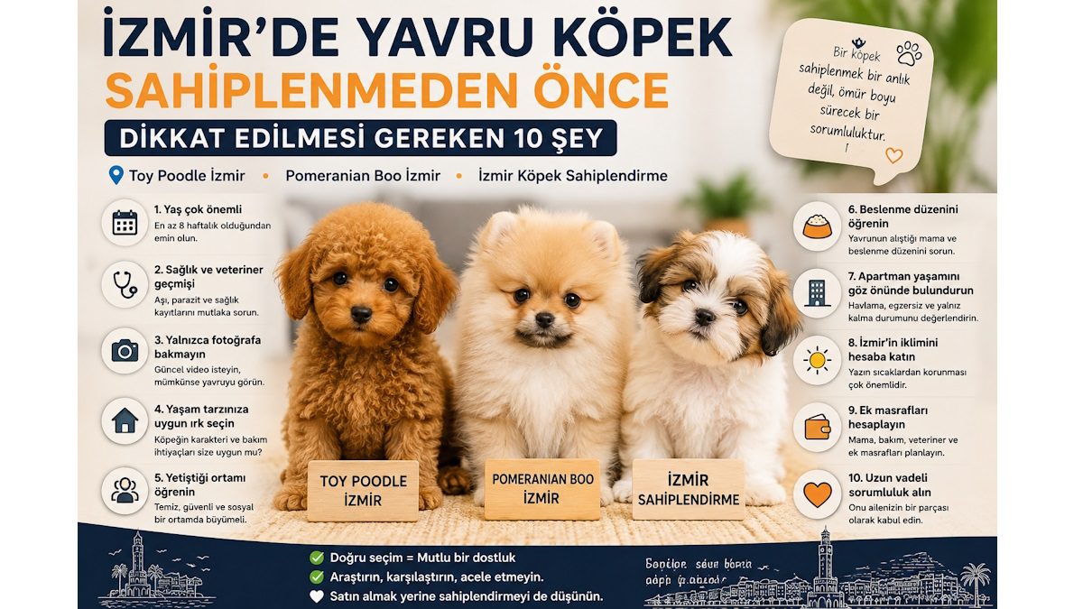 İzmir’de Yavru Köpek Sahiplenmeden Önce Dikkat Edilmesi Gereken 10 Şey
